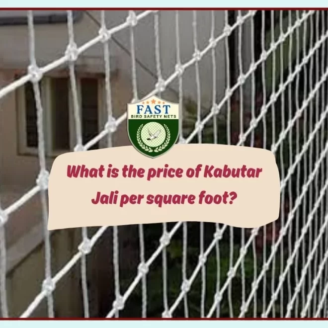 What is the price of Kabutar Jali per square feet?