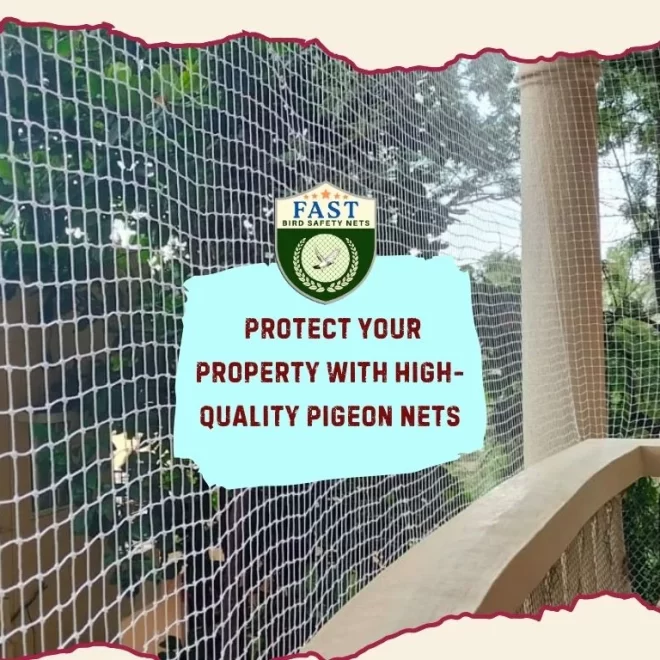 Protect Your Property with High-Quality Pigeon Net