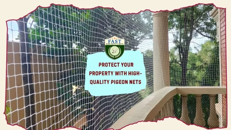 Protect Your Property with High-Quality Pigeon Net