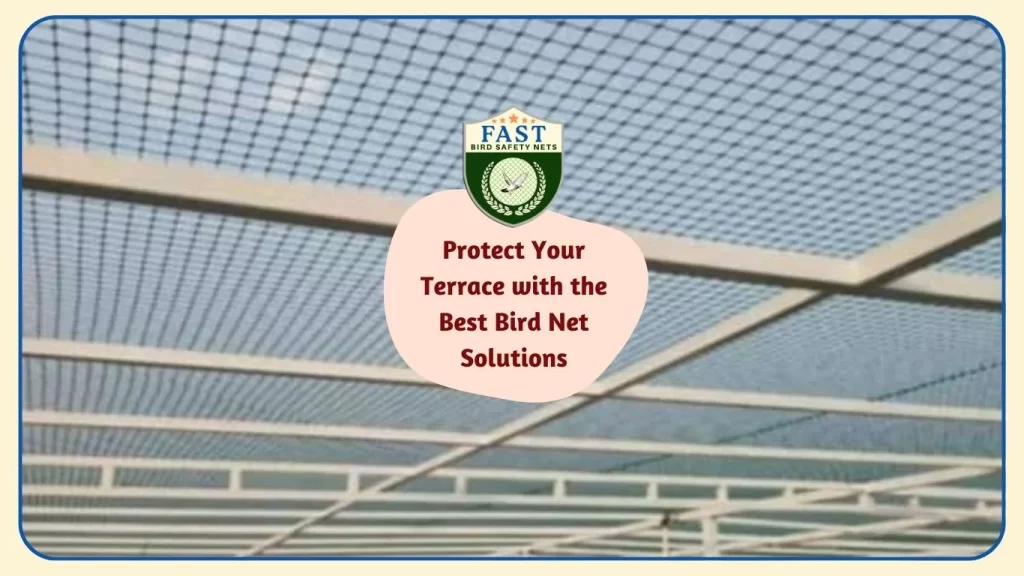 Protect Your Terrace with the Best Bird Net Solutions