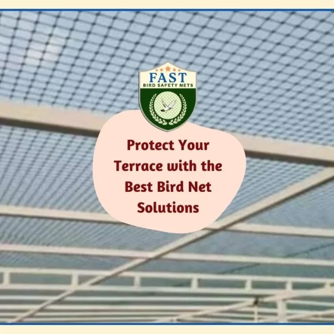 Protect Your Terrace with the Best Bird Net Solutions