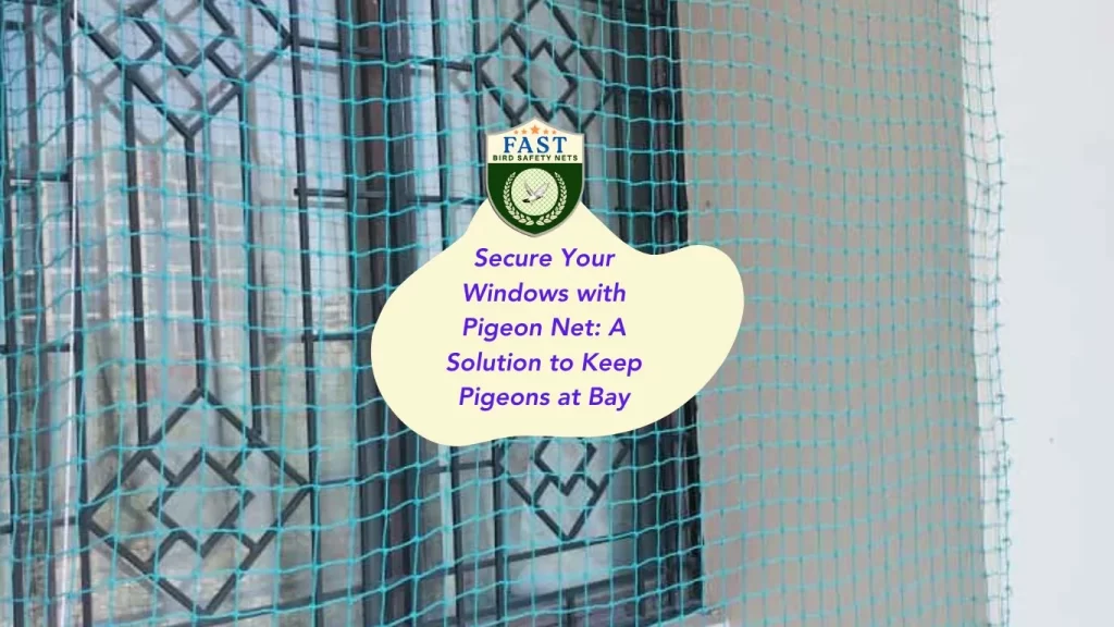 Secure Your Windows with Pigeon Net: A Solution to Keep Pigeons at Bay