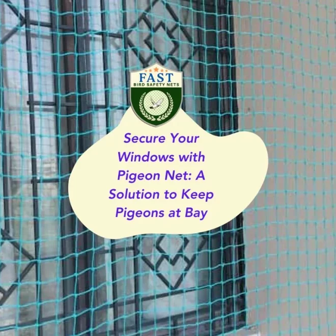 Secure Your Windows with Pigeon Net: A Solution to Keep Pigeons at Bay