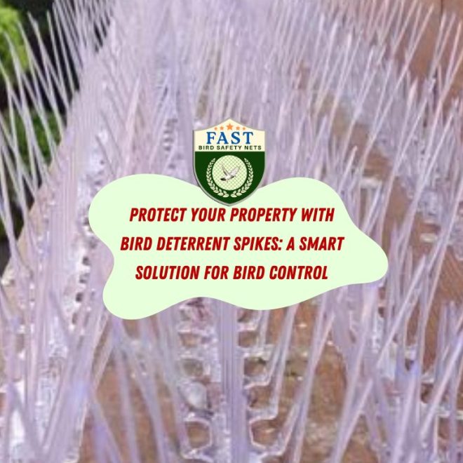 Protect Your Property with Bird Deterrent Spikes: A Smart Solution for Bird Control