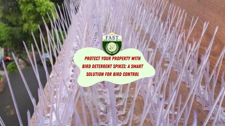 Protect Your Property with Bird Deterrent Spikes: A Smart Solution for Bird Control