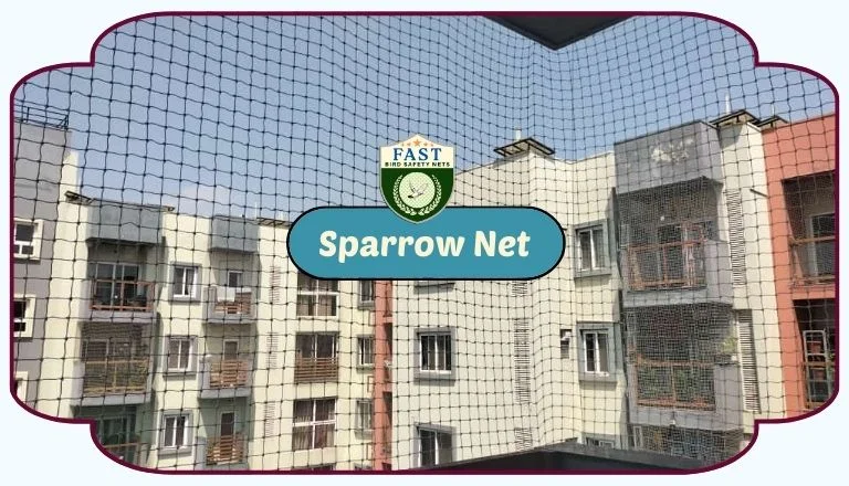 sparrow net