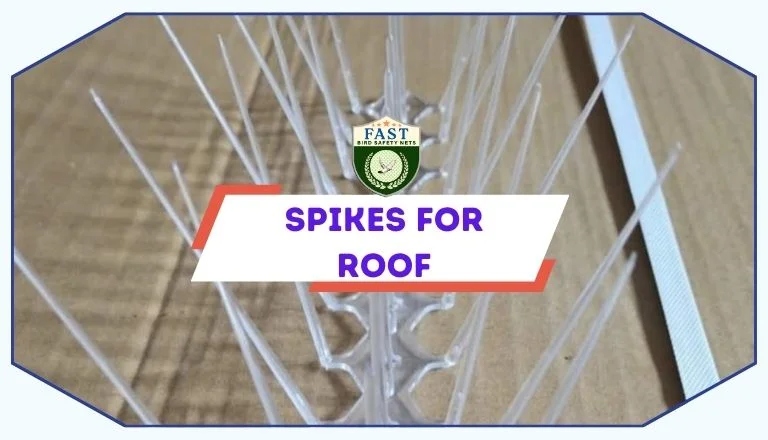 spikes for roof