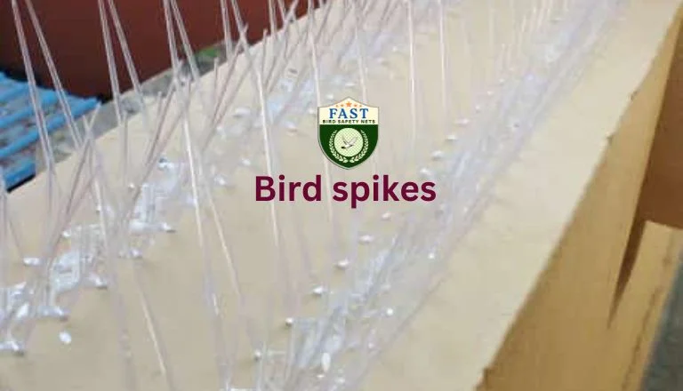 Spikes to Stop Birds