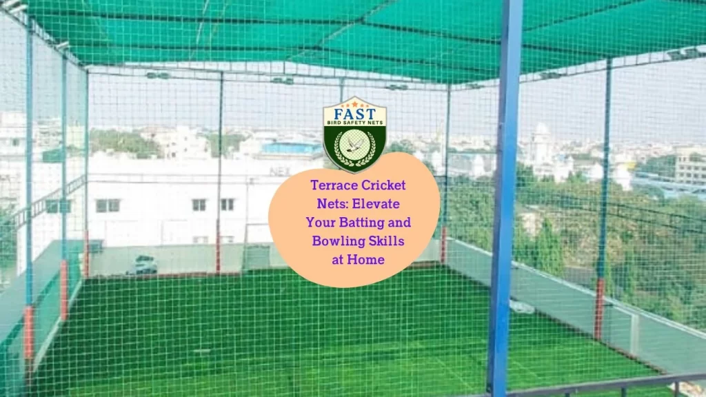 Terrace Cricket Nets: Elevate Your Batting and Bowling Skills at Home