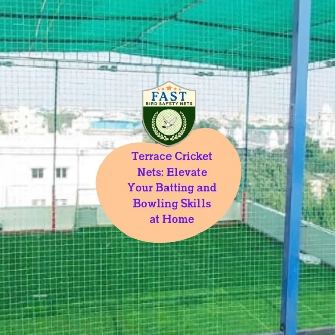 Terrace Cricket Nets: Elevate Your Batting and Bowling Skills at Home
