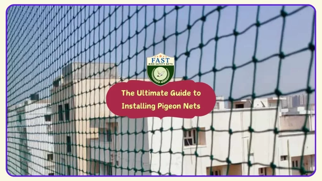 The Ultimate Guide to Installing Pigeon Nets