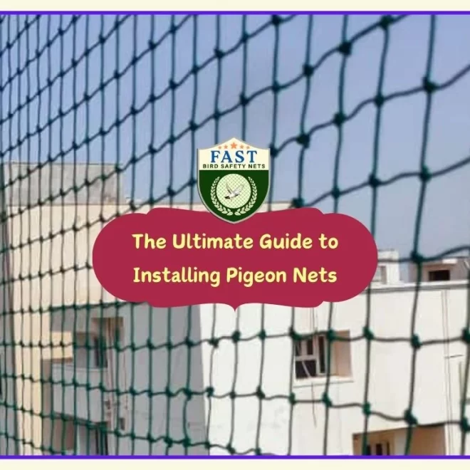 The Ultimate Guide to Installing Pigeon Nets