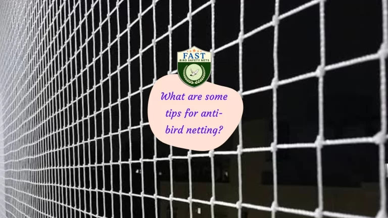 What are some tips for anti-bird netting?