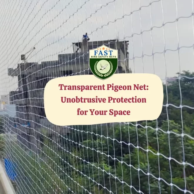 Transparent Pigeon Net: Unobtrusive Protection for Your Space