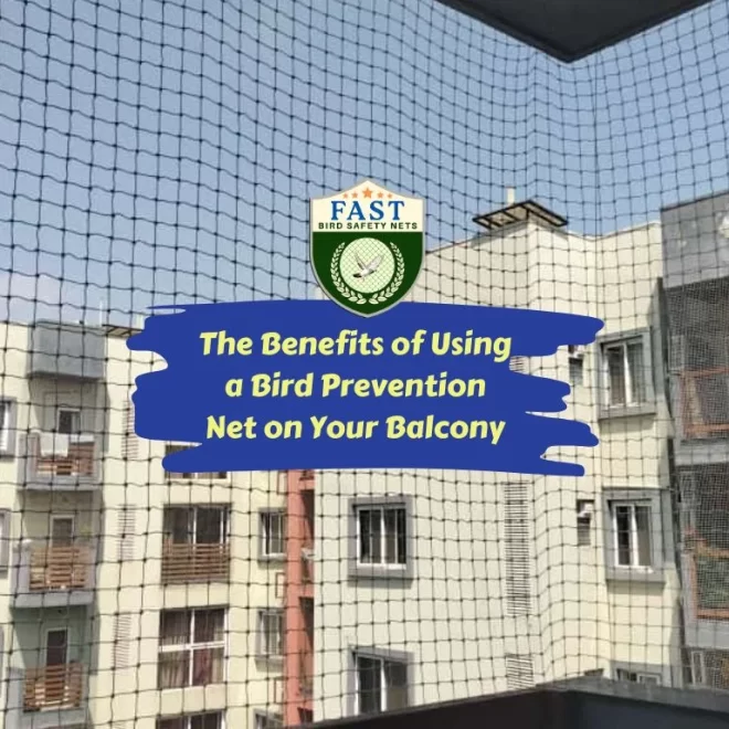 The Benefits of Using a Bird Prevention Net on Your Balcony