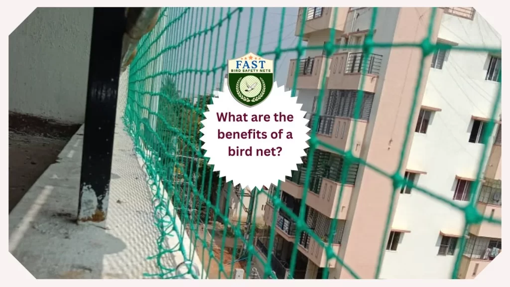 What are the benefits of a bird net?