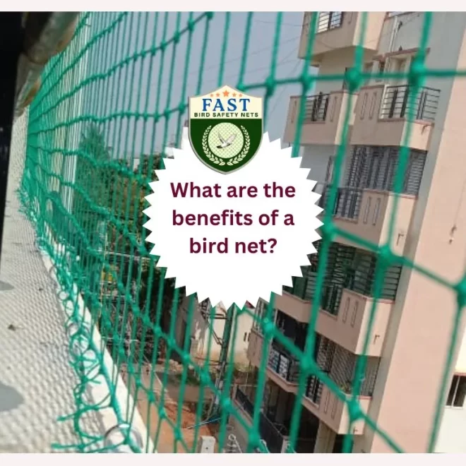 What are the benefits of a bird net?