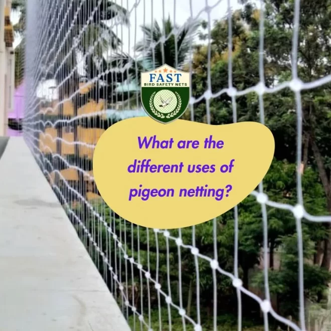 What are the different uses of pigeon netting?