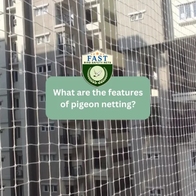 What are the features of pigeon netting?