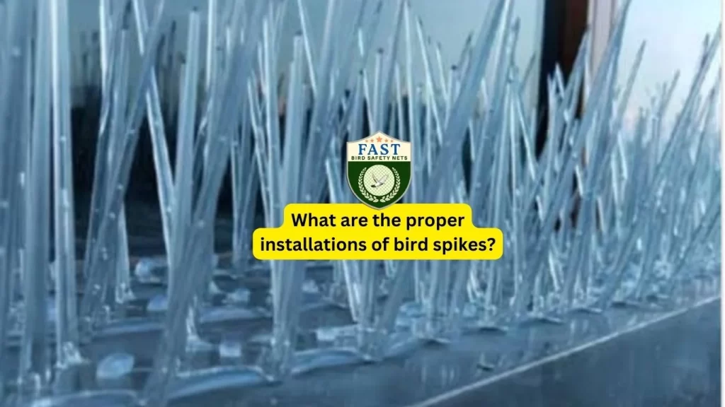 What are the proper installations of bird spikes?