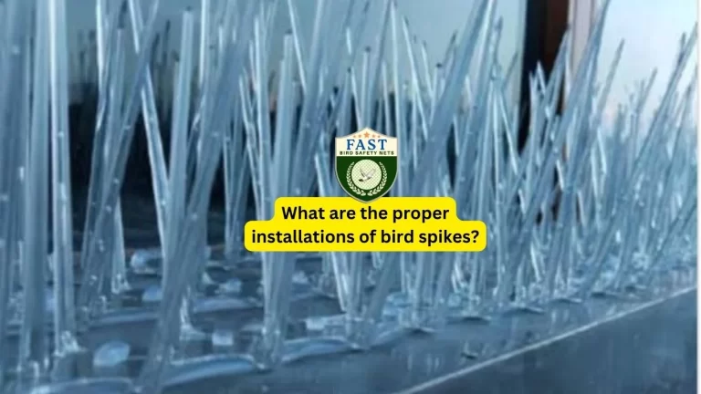 What are the proper installations of bird spikes?
