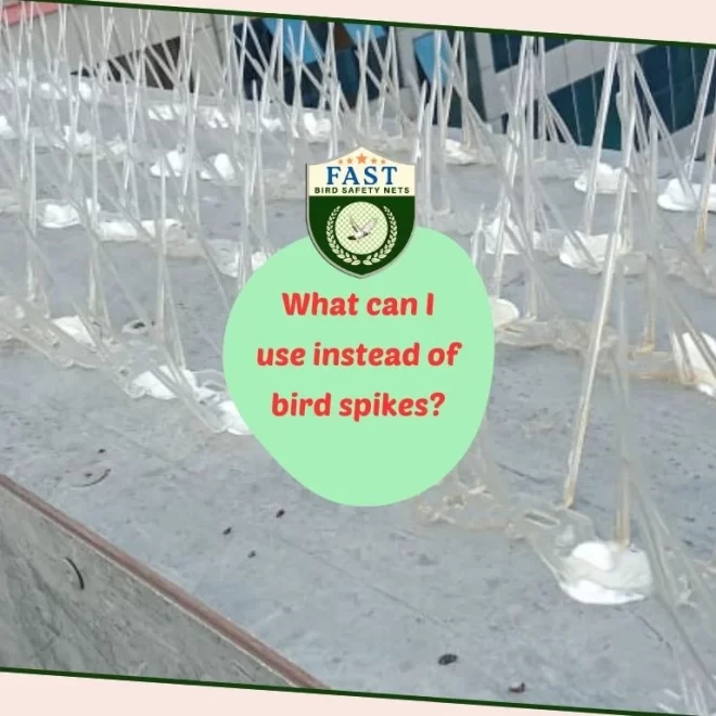 What can I use instead of bird spikes?
