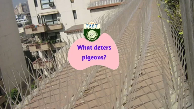 What deters pigeons?