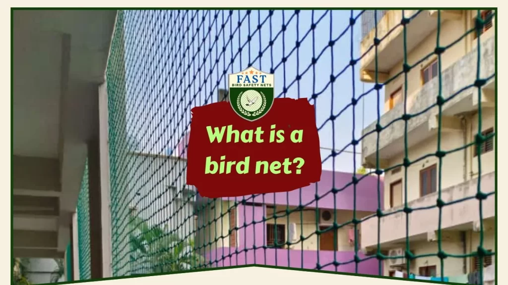 What is a bird net?