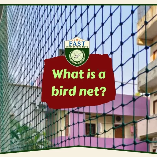 What is a bird net?