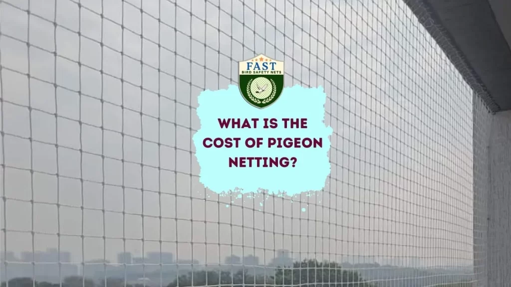 What is the cost of pigeon netting?