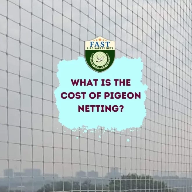 What is the cost of pigeon netting?