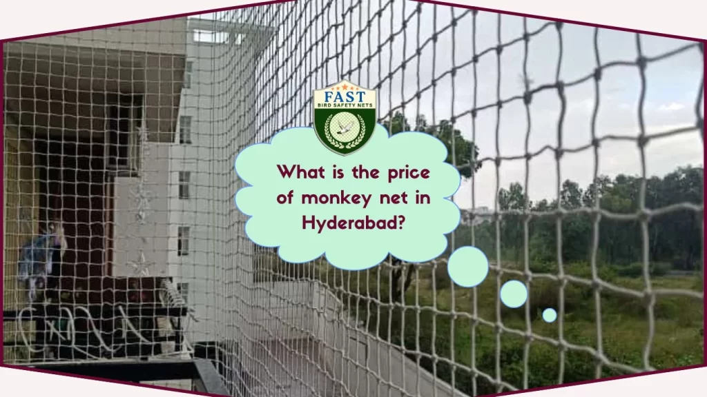 What is the price of monkey net in Hyderabad?