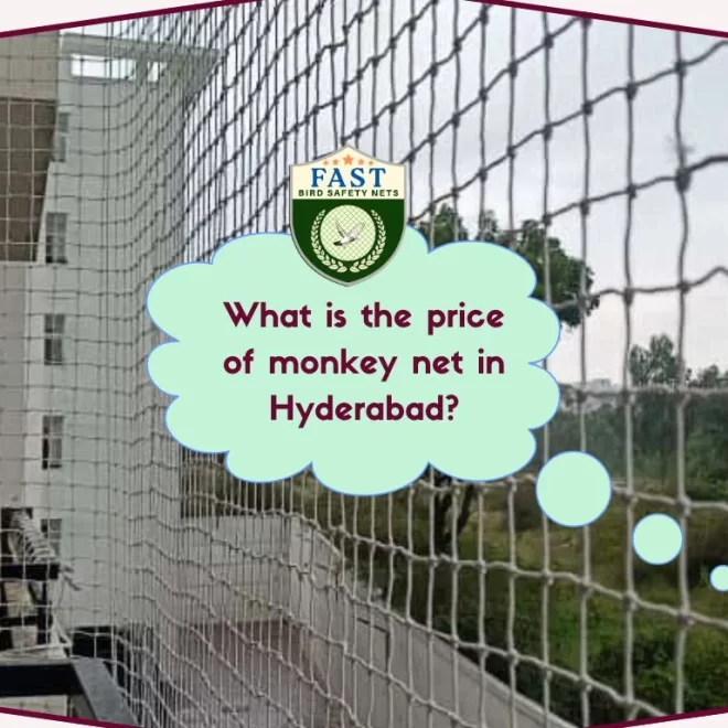 What is the price of monkey net in Hyderabad?