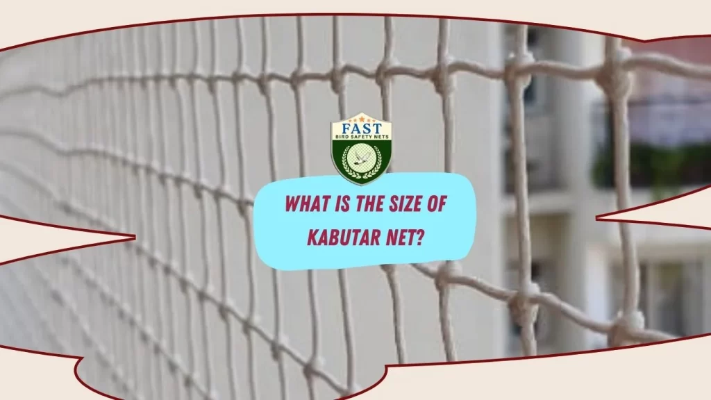 What is the size of Kabutar net?