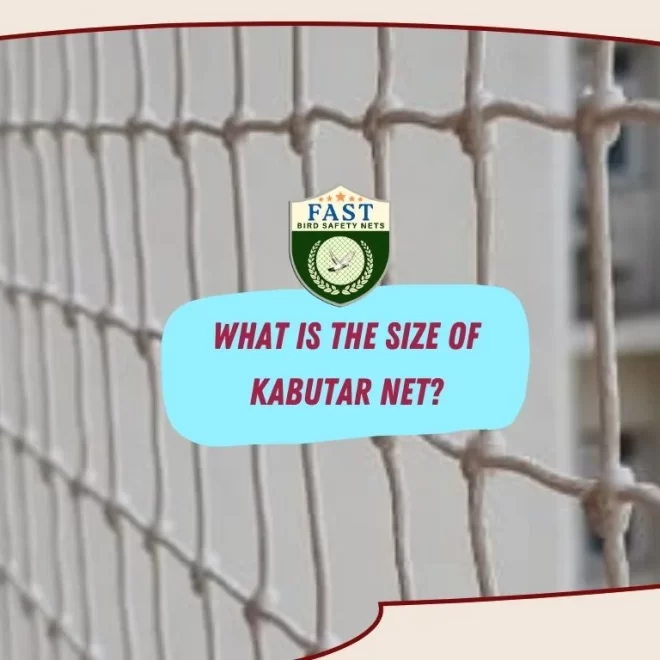 What is the size of Kabutar net?