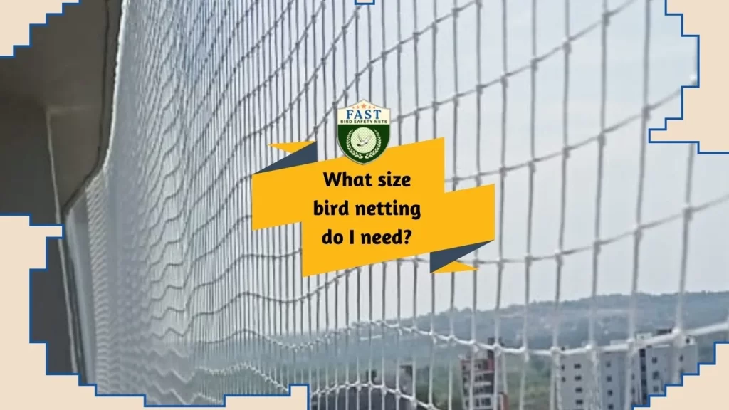 What size mesh keeps birds out?