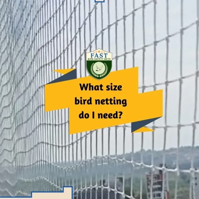 What size bird netting do I need?