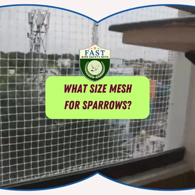 What size mesh for sparrows?