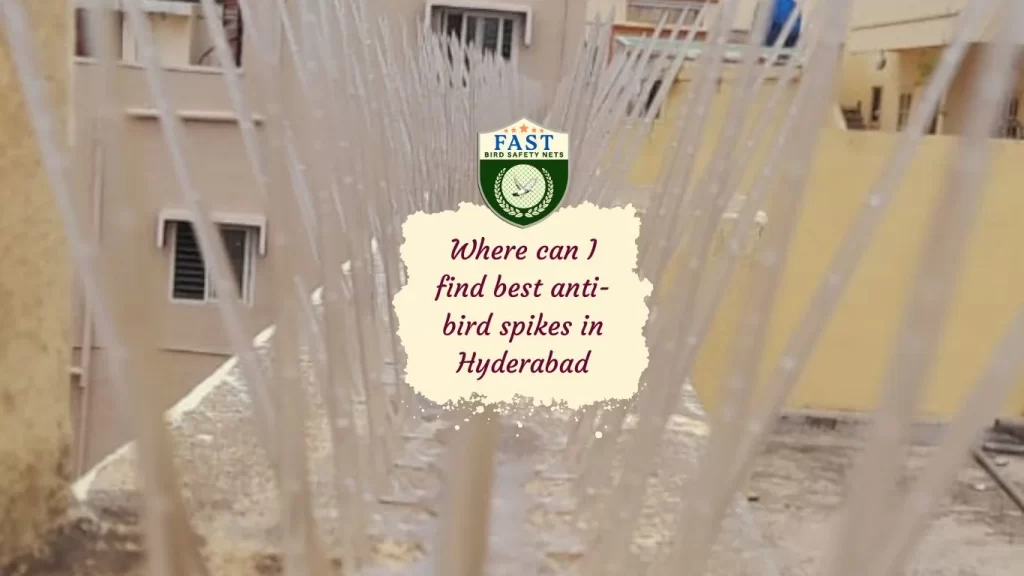 Where can I find best anti-bird spikes in Hyderabad