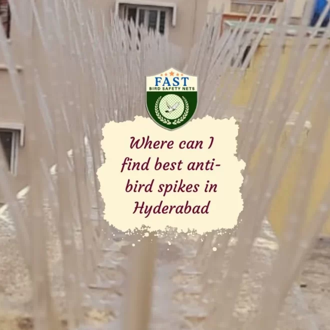 Where can I find best anti-bird spikes in Hyderabad
