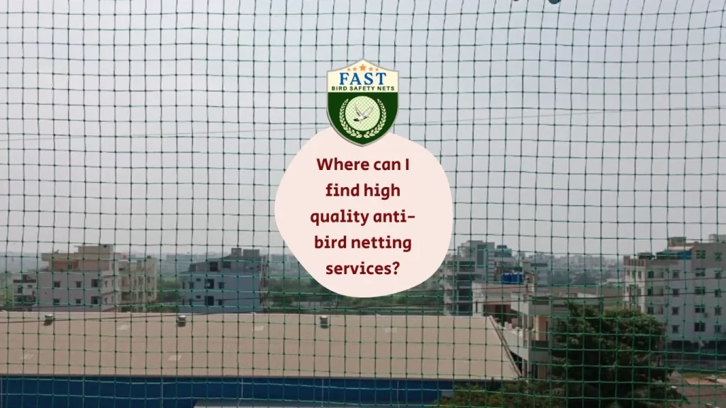 Where can I find high quality anti-bird netting services?