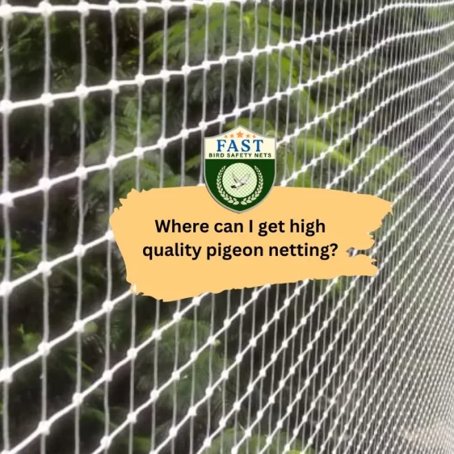 Where can I get high quality pigeon netting?