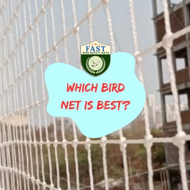 Which bird net is best?