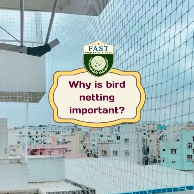 Why is bird netting important?