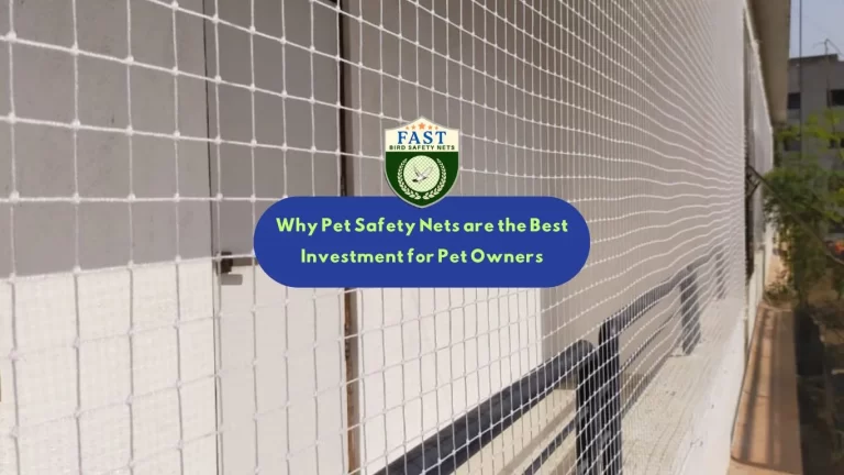 Why Pet Safety Nets are the Best Investment for Pet Owners