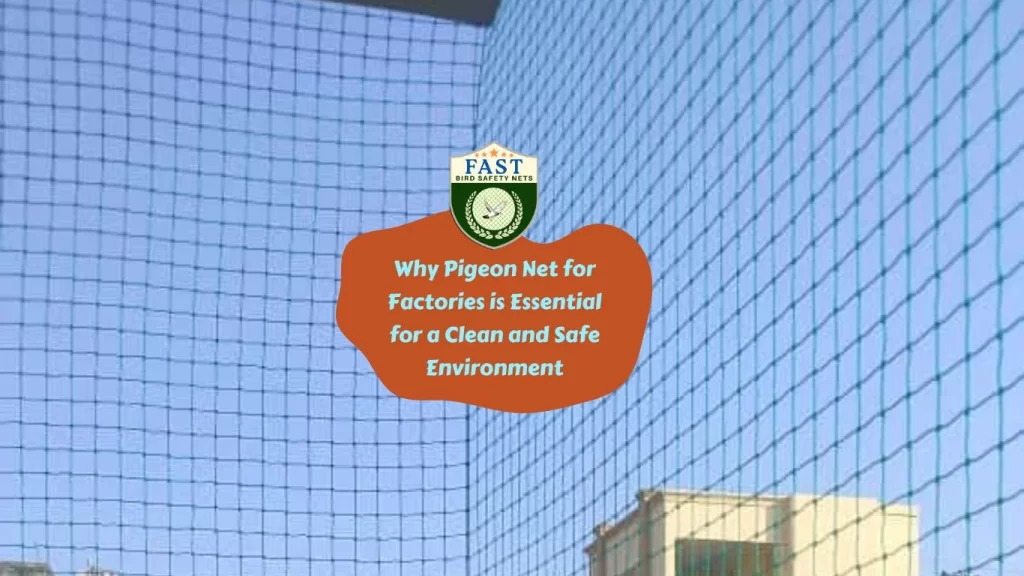 Why Pigeon Net for Factories is Essential for a Clean and Safe Environment