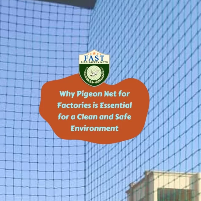 Why Pigeon Net for Factories is Essential for a Clean and Safe Environment