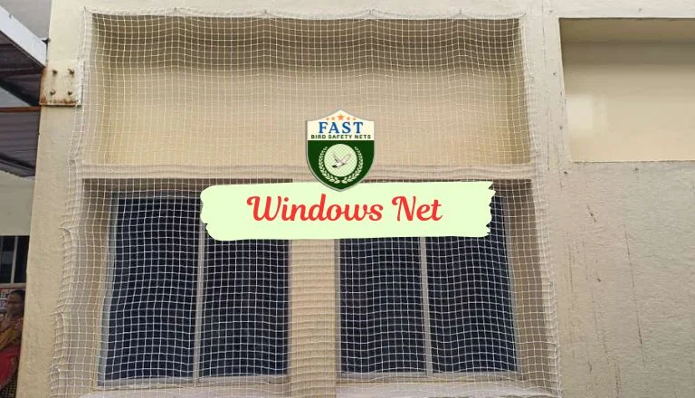 Windows Net