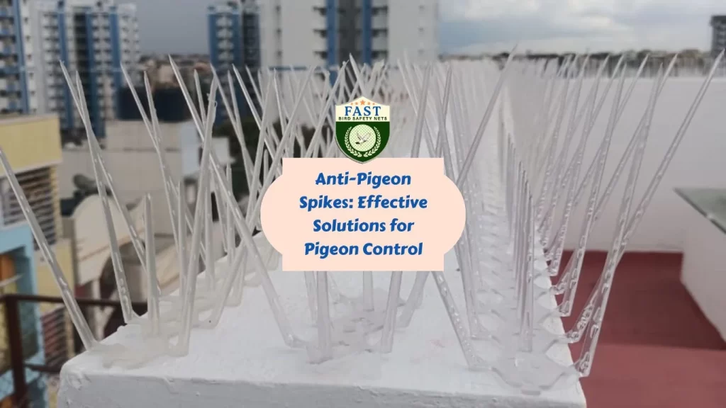 Anti-Pigeon Spikes: Effective Solutions for Pigeon Control