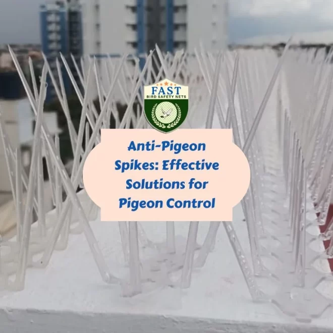 Anti-Pigeon Spikes: Effective Solutions for Pigeon Control